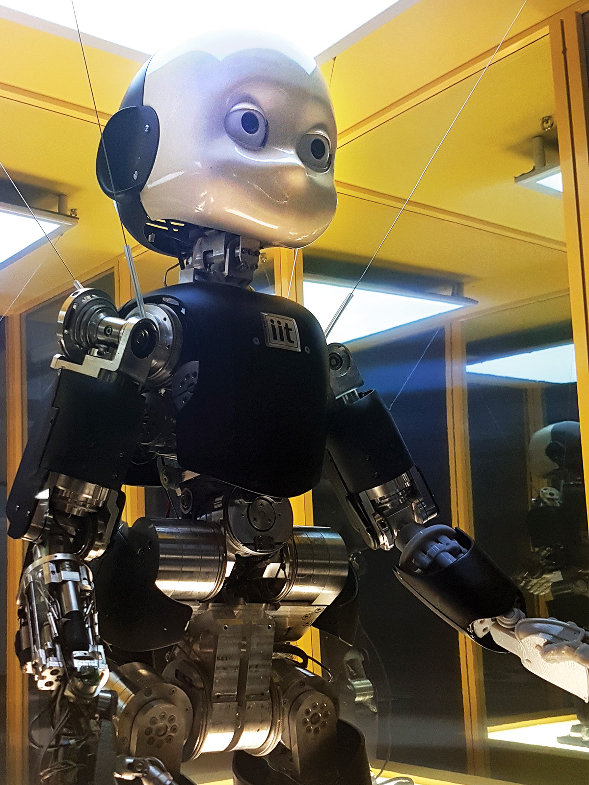 iCub, the robot developed by the Italian Institute of Technology 